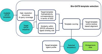 BIO-GATS: A Tool for Automated GPCR Template Selection Through a Biophysical Approach for Homology Modeling